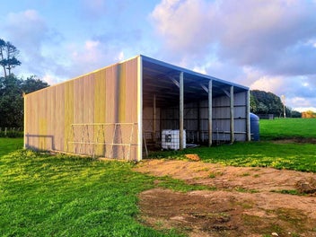 No Covenants, Endless Potential