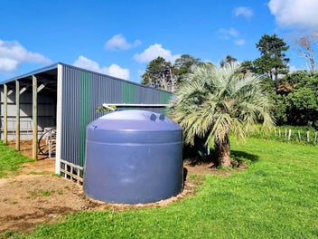 No Covenants, Endless Potential