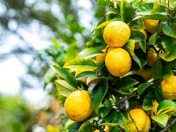 Designed for living, Positioned for lifestyle