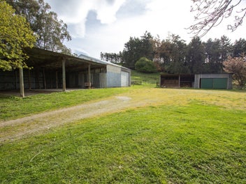 Spacious family home and sheds, wow!