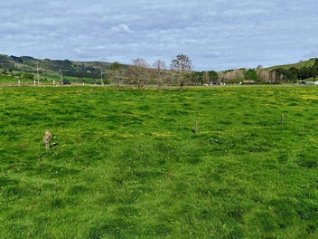 Flat Lifestyle handy to Matakana