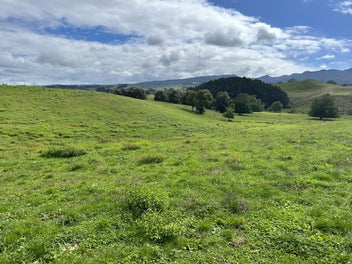 Large lifestyle Section