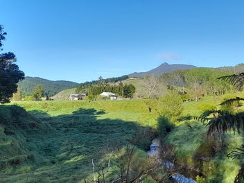 Image 1 of 35