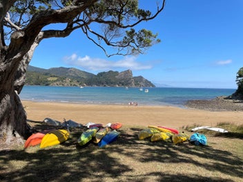 Steps Straight to the Ocean - Wow!