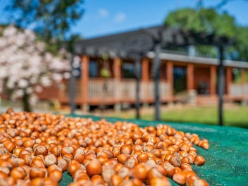 Country Charm Meets Endless Potential