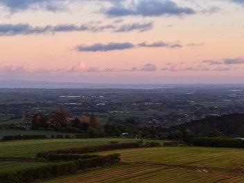 Invest here. Build here. Grow here.