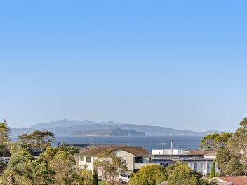 Catch Me While You Can!