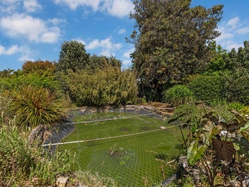 1950's style with modern amenities