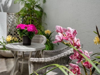 Parnell calm, city edge energy