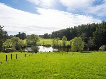 Where Dreams Take Root