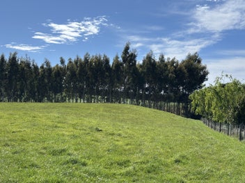 Private block with services on site