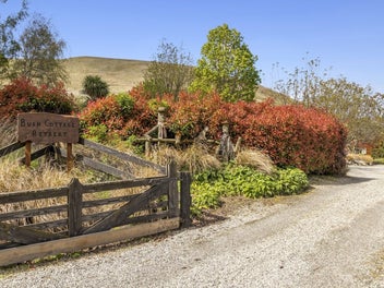 A magical lifestyle and income opportunity