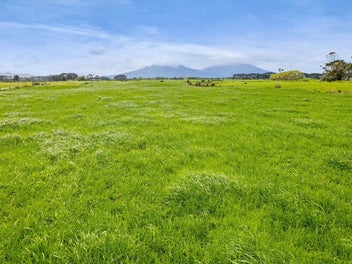 Image 1 of 28