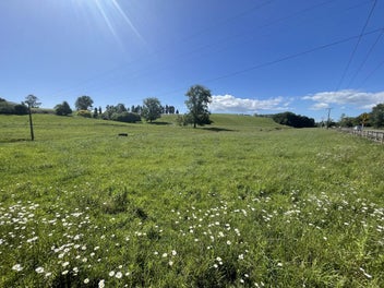 A Lifestyle Made Easy