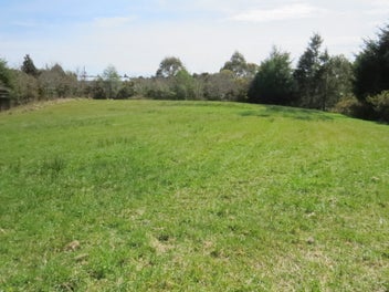 Rural living close to town