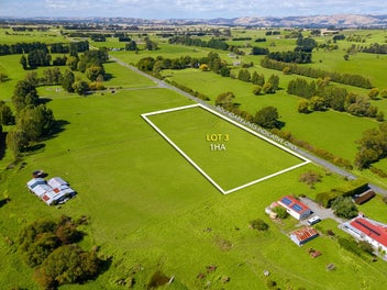 Prime Lifestyle Plots!!