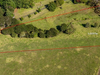 Nestled into the Valley