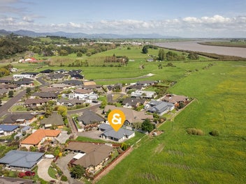 Unbeatable Palms Masterpiece