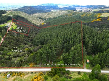 Lifestyle with future income