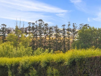 Lifestyle Living Minutes from Mangawhai Village