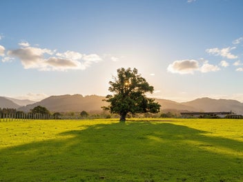 Build Your Dream Home on Your Dream Section