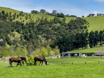 Clevedon Equestrian Lifestyle Property