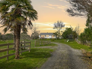 Live, Build, Subdivide - Explore the options!