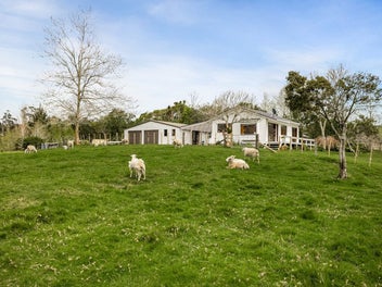 Entry-Level Lifestyle with Unlimited Potential