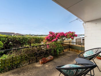 A flat-pack with promise!