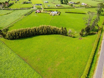 From Town Buzz to Country Stillness