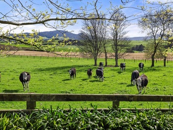 Breathtaking Views in Stand Out Location