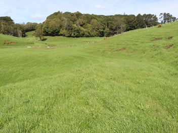 Image 1 of 23