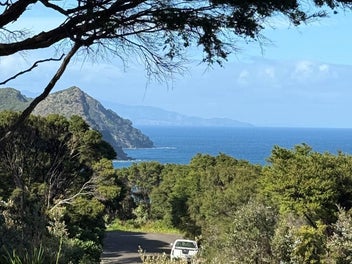 Your Perfect Great Barrier Section - Sea Views...