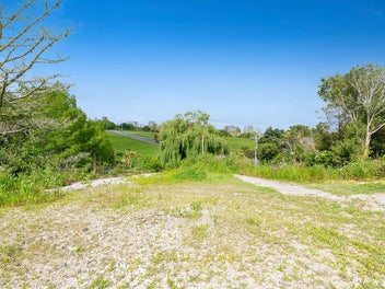 Unleash Your Vision!