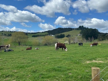 A Charming, Character filled 3.9 ha - (9.8 acres)