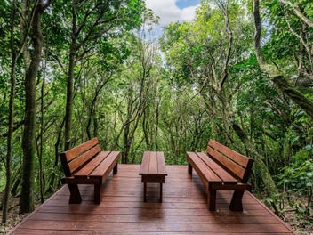 Expansive Flat Lawn, Secluded Bush Retreat