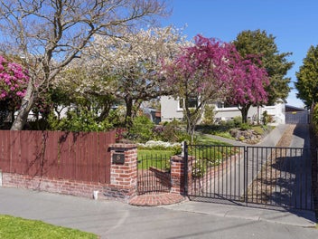 Character, comfort, and a whole lot of heart