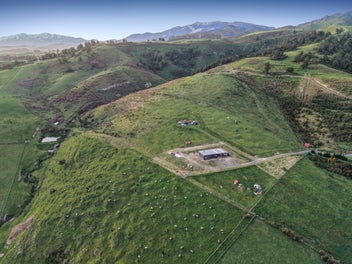 Vendors North Bound Before Xmas!