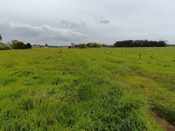 Image 1 of 21