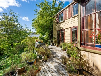 A Project Amidst the Trees