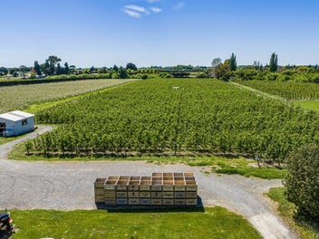 Two dwellings, man shed and leased orchard