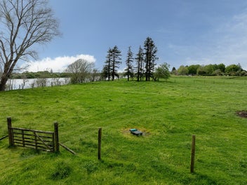 Image 1 of 7