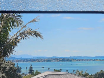 Six Bedrooms, Huge Yard, Space to grow and gather!