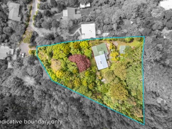 Be in by Christmas - Privacy, Bush, Views