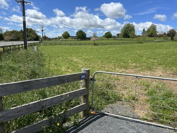 Quality Lifestyle Section