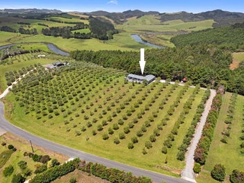 Serene, Private & Sunny on Leccino Valley Road!