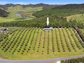 Price Reduced - Vendor Says Sell!