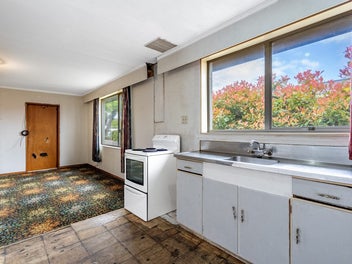 Affordable and Full of Potential