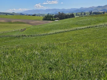 Premium lifestyle sections - Palmerston