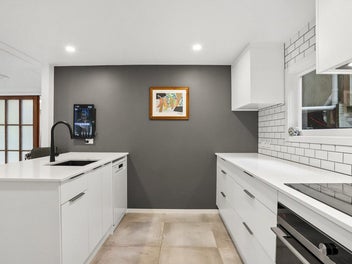 A Hidden World of Wonder in Laingholm